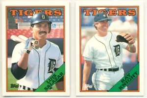 MLB-BASEBALL CARD LOT-1988-TOPPS-2 CARDS-DETROIT TIGERS-LUIS SALAZAR-RAY KNIGHT - Picture 1 of 2