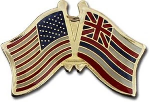 USA - HAWAII FRIENDSHIP CROSSED FLAGS LAPEL PIN - NEW - COUNTRY PIN - Picture 1 of 1