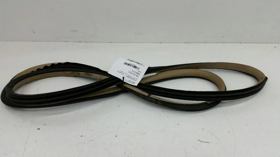 Junta de sellado de jamba para puerta de carrocería Nissan Sentra conductor delantero izquierdo 2007 Foto 1 de 1