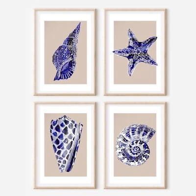 4 Coastal Blue And White Shell Art Gallery Wall Coral - Image 1 of 4