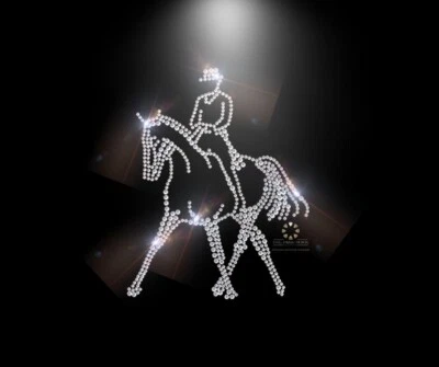 Hotfix Bügelbild Strass Pferd Dressur Horse Traversale gr li.120125 Karostonebox - Bild 1 von 2
