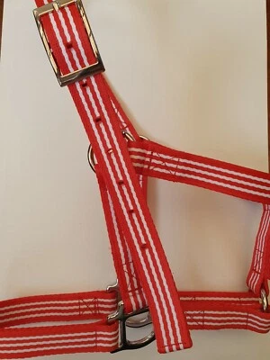 Red White Stripe  Pattern Polypropylene Webbing Headcollar Donkey Size - Image 1 of 4