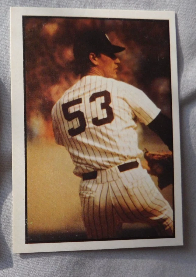 Tarjeta de béisbol 1978 SSPC #006 Ken Holtzman New York Yankees Foto 1 de 1