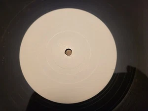 FUN BOY THREE(TERRY HALL)-SUMMERTIME-UK W/L PROMO 12"+PROMO SHEET - Picture 1 of 3
