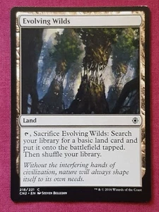 Magic The Gathering CONSPIRACY TAKE THE CROWN EVOLVING WILDS land card MTG - Picture 1 of 2