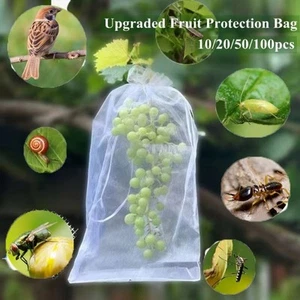 100 Stück Obstzuchtbeutel Gemüse Pflanzenschutzbeutel Traubenschutzhülle - Bild 1 von 18