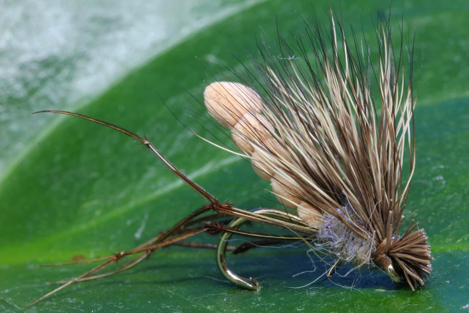 WET YOUR FLY 3 x UV TAN / NATURAL HOGG Daddy Long Legs Fly Größe 10