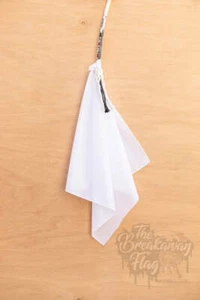 ProRate Equine Breakaway Flag - Bild 1 von 21