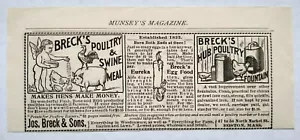 Brecks Boston Hühnerfarm Kunst Vintage Druck Werbung 1895 - Bild 1 von 3