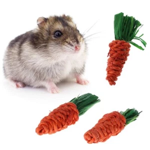 3Pcs Carrot Chew Toys Rabbit Hamster Tooth Cleaning Toys Pet Supplies Bite Toys - Picture 1 of 11