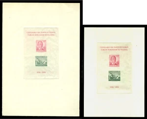 CHILE 1959 German School Cent. Valdivia Phil. Exhib  2 sizes BLOCKs S/S Sc#C213a - Picture 1 of 2