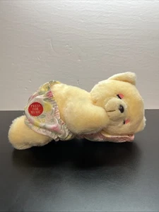 Orso della Bella Addormentata Vintage Commonwealth of Pennsylvania 1992 con cuscino 9" W17 - Foto 1 di 8