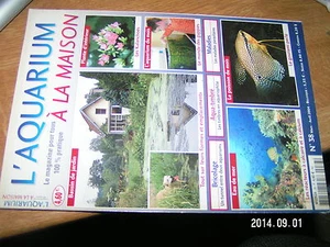 L'Aquarium à la maison n°38 Bassin jardin Kalanchoes Guppies Gourami perlé - Picture 1 of 1