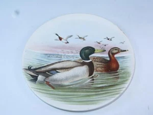 Plato decorativo vintage de cerámica poole mailard (mallard) o pato salvaje John Gould - Imagen 1 de 2