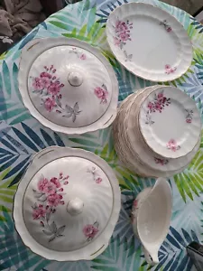 Old Chelsea Johnson Bros fiore rosa floreale scegli il tuo articolo Rose Cherry Blossom - Foto 1 di 65