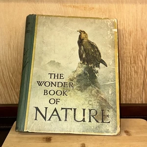 ANTIQUE  Ward Lock & Co's The Wonder Book of Nature Eight Edition (F) - Imagen 1 de 3