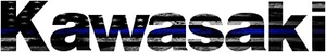 KAWASAKI TERYX T4 TAILGATE LETTERS 4 SEATER DECAL THIN BLUE LINE FLAG REFLECTIVE - Bild 1 von 1