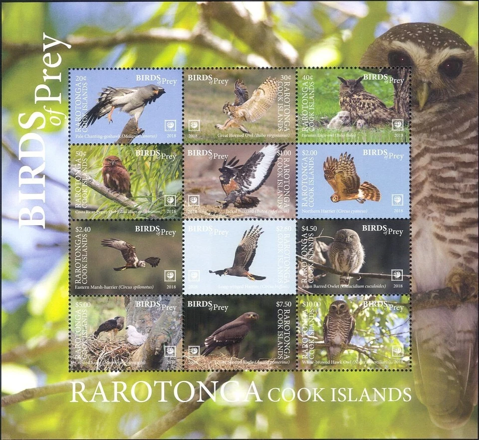 Rarotonga 2018 Birds of Prey/Raptors/Eagles/Owls/Nature/Wildlife 12v sht  s5346d - Image 1 of 1