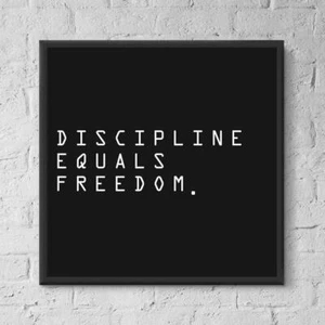 Jocko Willink Discipline Equals Freedom Motivation Success ( Poster, No Frame ) - Picture 1 of 3