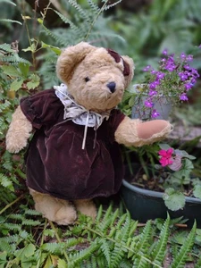 1996 Teddy Bear the Traditional Bear Collection. - Picture 1 of 16