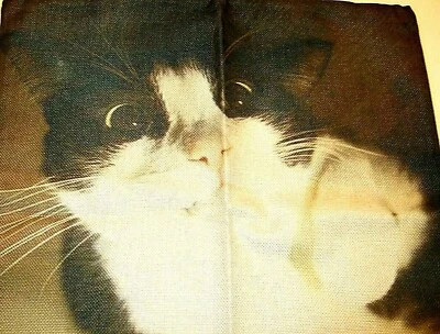 Square Cotton Canvas Black & White Cat Pillow Cover 17" x 17" NEW (#86) - Image 1 of 4