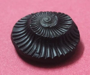 Blessed Sudarshan Shaligram | Nepal Gandaki River Chakra Saligram (SHALIGRAM-08) - Picture 1 of 3