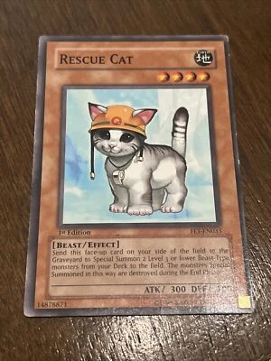 Yu-Gi-Oh! TCG Rescue Cat Flaming Eternity FET-EN033 1st Edition Common LP - Image 1 of 4