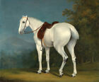 Obraz olejny piękne zwierzęta koń szary-łowca-Jacques-Laurent-Agasse płótno 