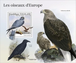 Togo - 2022 Birds of Europe, Harrier - Picture 1 of 1