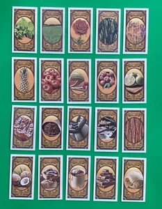 SET of 20 . 2024 TOPPS  ALLEN GINTER mini  SCRACH & SNIFF . GOT THE ITCH . 1/124 - Picture 1 of 2