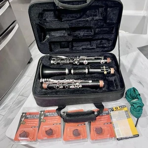 Buffet Crampon E-11 Wood Clarinet With Case & Extra! Made in Germany - Picture 1 of 19
