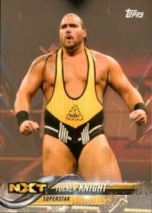 2018 Topps WWE Then Now Forever Wrestling #182 Tucker Knight Bronze Parallel - Bild 1 von 2