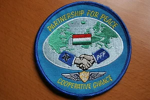 PARCHE DE ESCUADRÓN DE FUERZA AÉREA EXTRANJERA ASOCIACIÓN PARA LA PAZ OTAN - Imagen 1 de 1