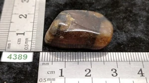 CHIASTOLITH ANDALUSIT - Natur Rollstein - Mineralien Lithotherapie Reiki - Bild 1 von 3