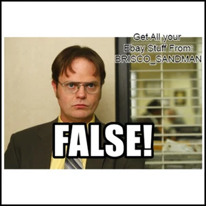 Imán de nevera divertido para refrigerador LA OFICINA: DWIGHT SCHRUTE "¡FALSO!" versión A - Imagen 1 de 4
