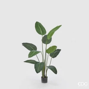 EDG Enzo De Gasperi EDG Enzo De Gasperi Strelitzia Chic con Vaso Artificiale H 1 - Foto 1 di 4