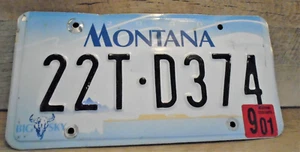 Montana 2000 Auto License Plate Big Sky 22T-D374 Collector Man Cave Crafting - Imagen 1 de 3