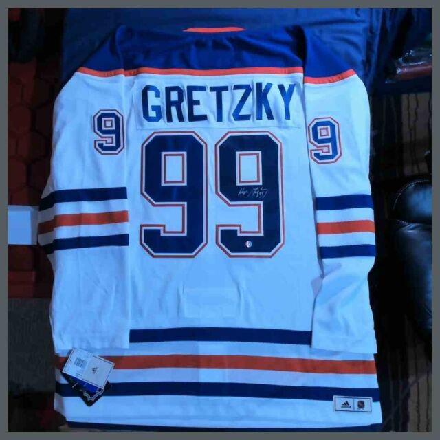 Wayne Gretzky Signed Oilers 33x37 Custom Framed Cut Display with Jersey &  802-Goal Record Pin (PSA COA)