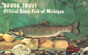 Postal oficial de Brook Trout State Fish of Michigan 1965 - Imagen 1 de 2
