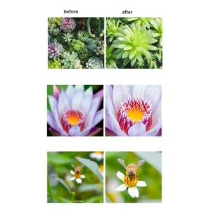 (Pink)Phone Camera 15X Macro Lens With Mini Clip Ring Light 2800 To 6500K XX - Afbeelding 1 van 12