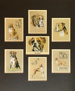 Tarjetas de coleccionista montadas en Perikim THE BOXER Man's Best Friend para adaptarse al marco de 12x10 - Imagen 1 de 6