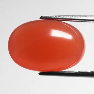 💎 6.32ct 14.5x10mm Oval Cabochon Natural Orange Agate - Africa Gemstone - Picture 1 of 4