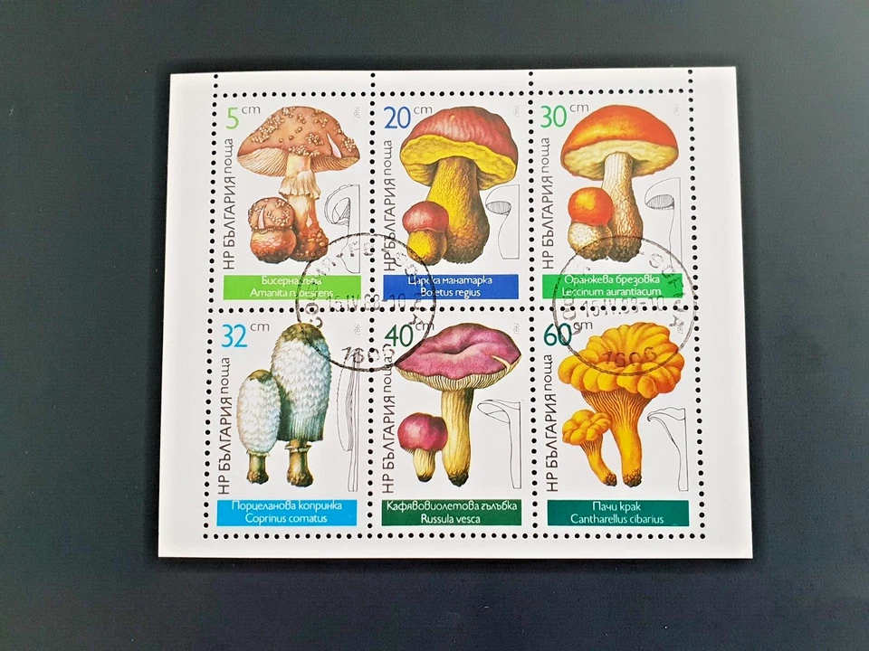 BULGARIE 1987 Série n°3071/3076 Yvert 2022 CTO Gommé - Photo 1/1