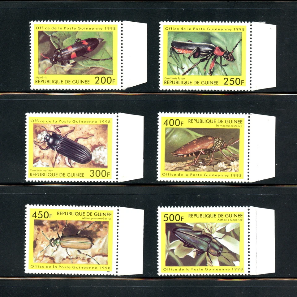 G189  Guinea 1998   insects beetles  6v.  MNH   - Image 1 of 1