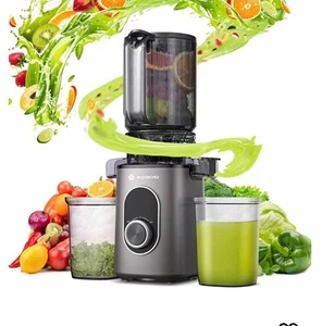 Aobosi Slow Juicer 4,35 Zoll großer Zuführschacht JS2304 - Bild 1 von 15