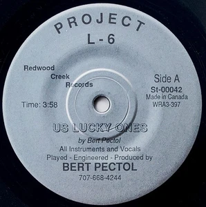 Bert Pectol 45 Us Lucky Ones - Rare Private 80's Synth Wave - Imagen 1 de 2
