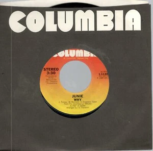 Junie: Why / Love Has Taken Me Over ( Be My Baby ), 7 in Record - Picture 1 of 4