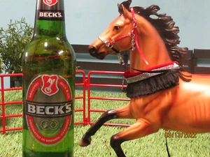 Combo de halter y collar Jaapi 2022 CM SR hecho para Breyer, Breyerfest PROST!  ¡Cerveza! - Imagen 1 de 3