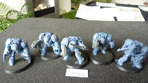 GAMES WORKSHOP WH40K SPACE WOLVES WOLF GUARD TERMINATOR SQUAD x5 UNDERCOATED#562 - Picture 1 of 6