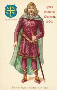 Cartolina storica sfilata anglosassone nobile 1909 York - Foto 1 di 2